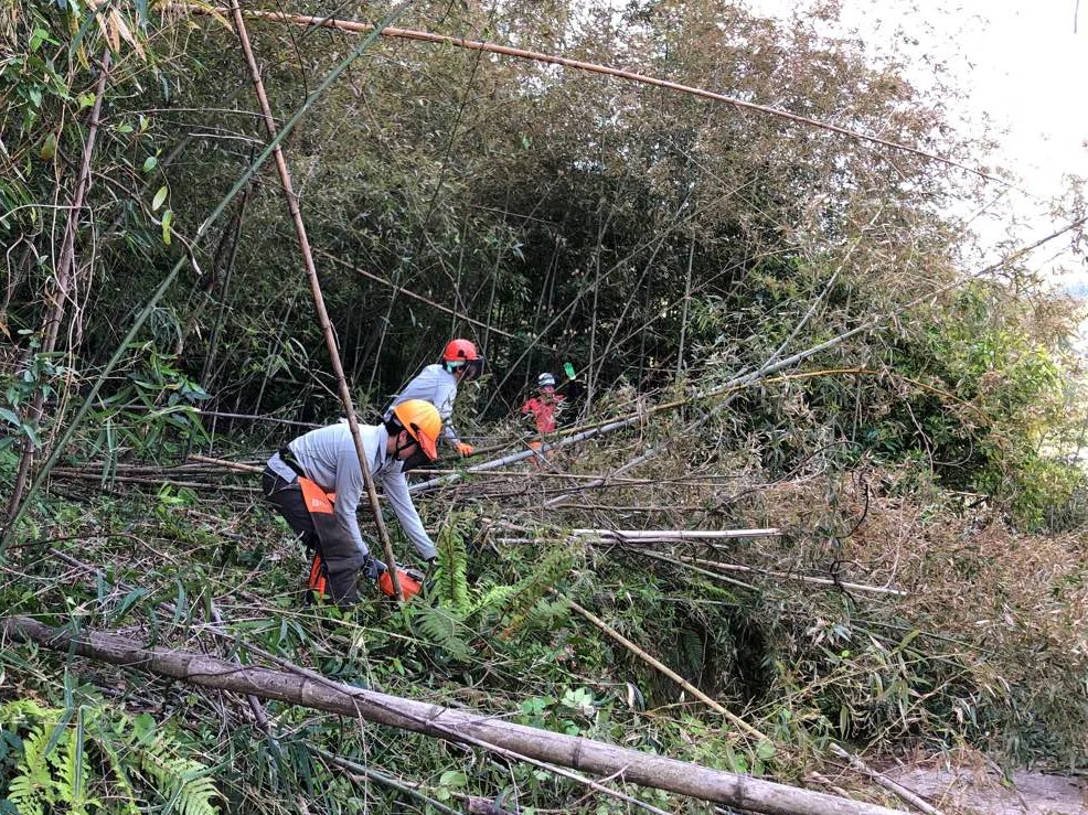 （一）斐川上島線（武部２工区）総合交付金（改築）工事第５期