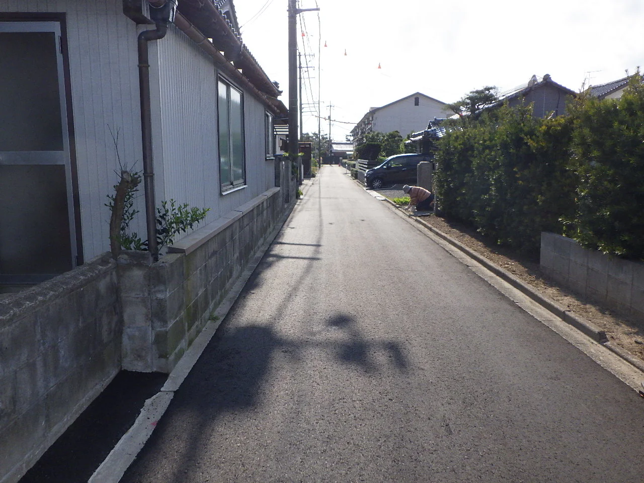 （支）白枝町ひばりヶ丘西公園西配水管布設工事