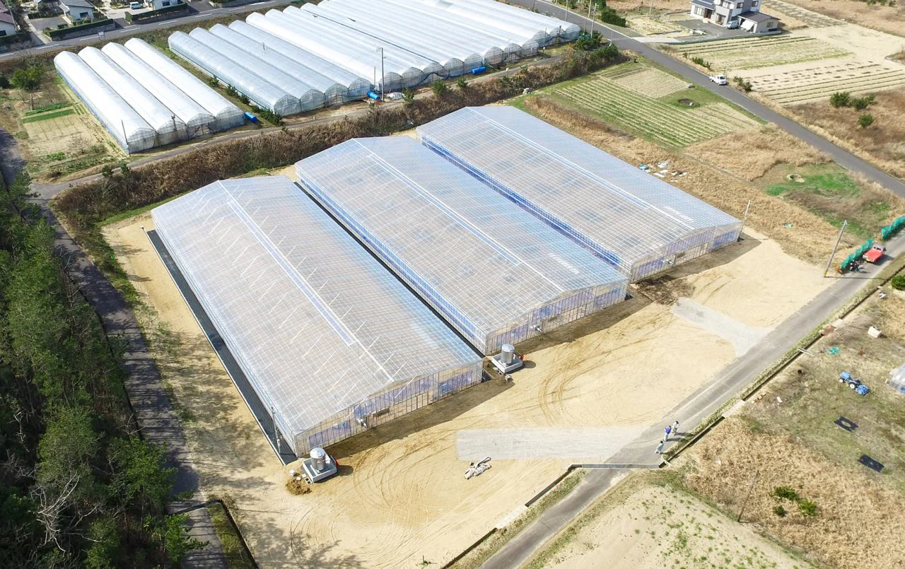 JAしまね出雲地区本部ぶどうハウス建設工事（１０棟）