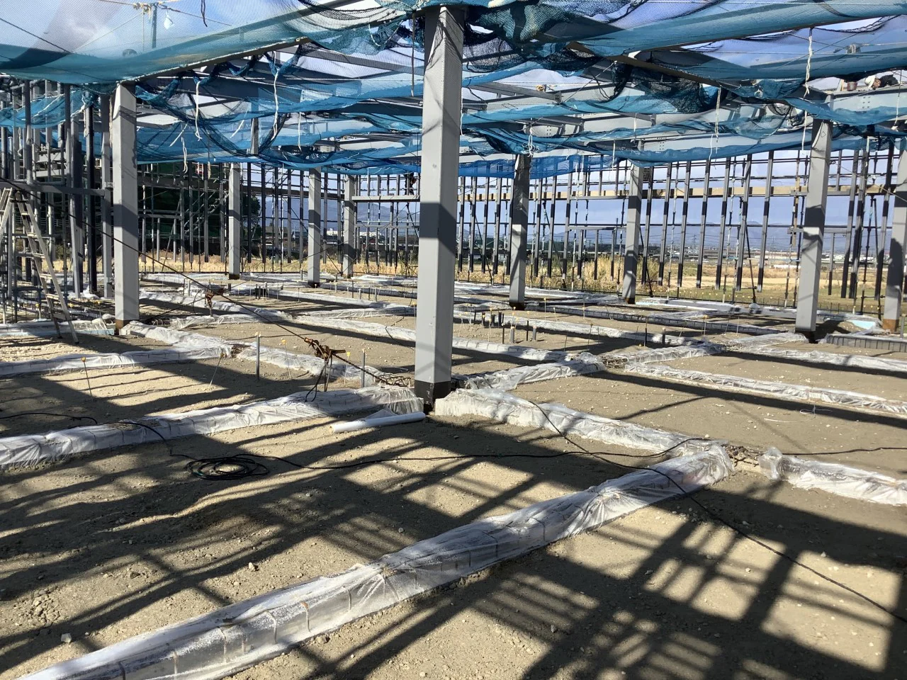 まるべりー斐川 移転・新築工事