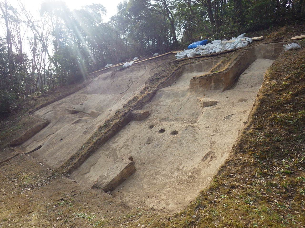 荒神谷遺跡復元整備地既存表層撤去工事