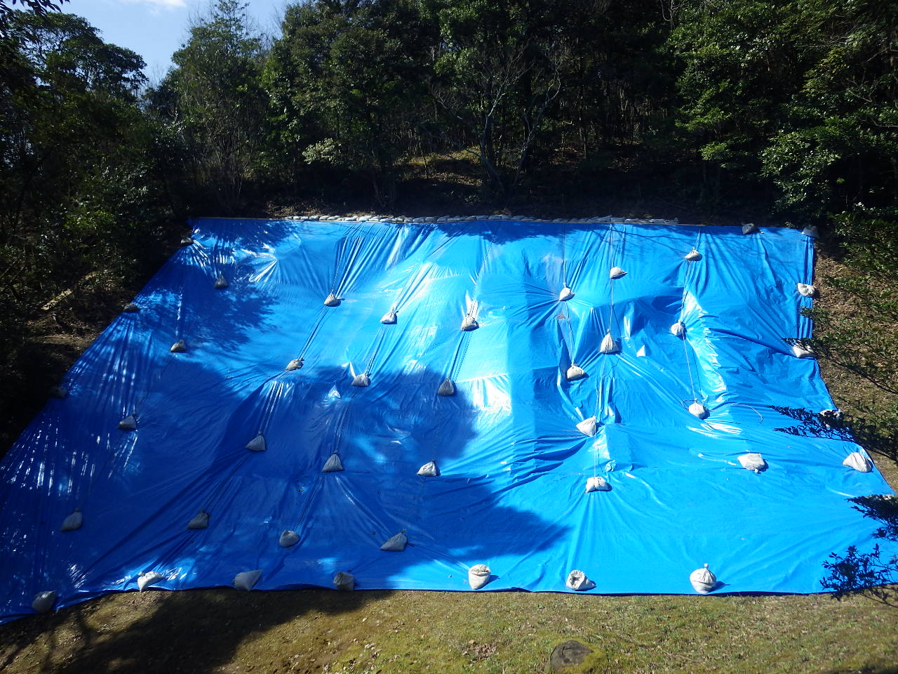 荒神谷遺跡復元整備地既存表層撤去工事