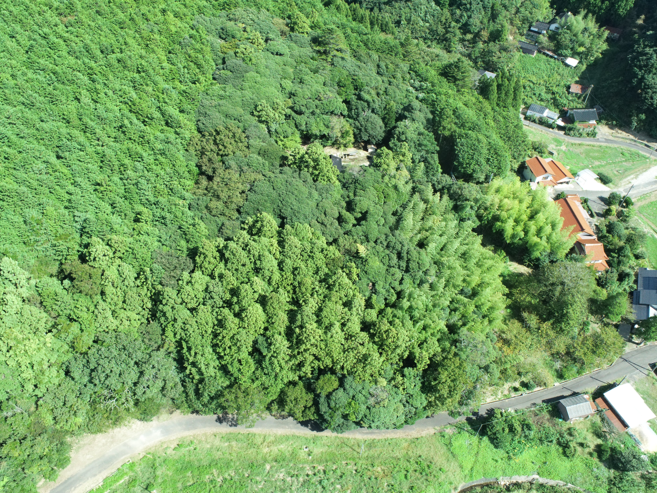 令和6年度　地すべり防止事業（多久1ブロック）山腹工事