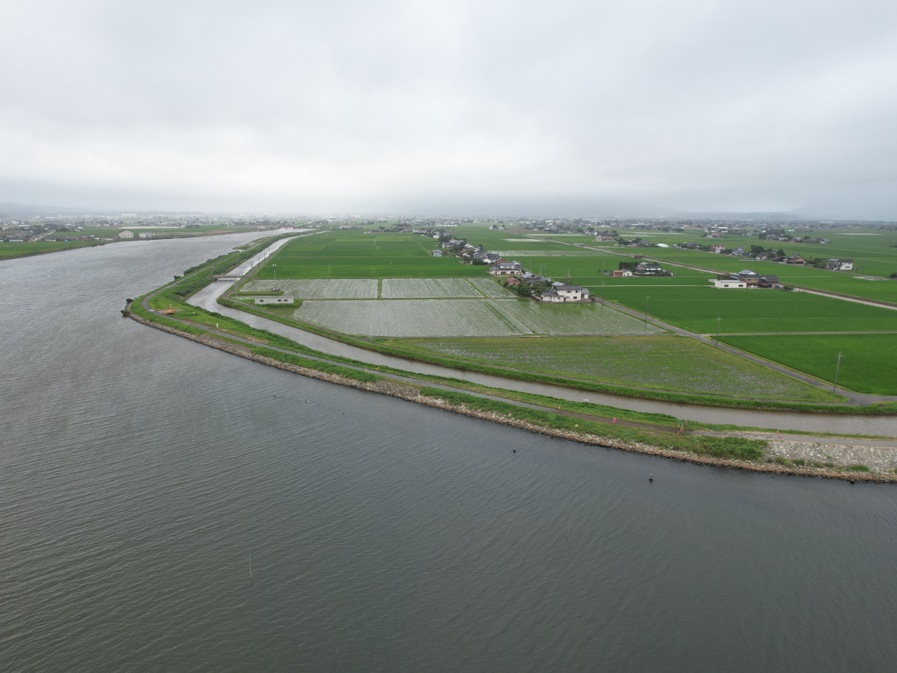 五右衛門川（十四間川）防災交付金（総流防）工事（11月補正）第1期