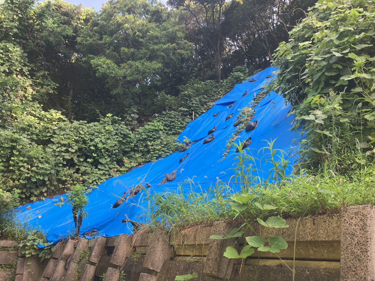 令和5年度 地すべり防止事業（多久地区）外　山腹工事