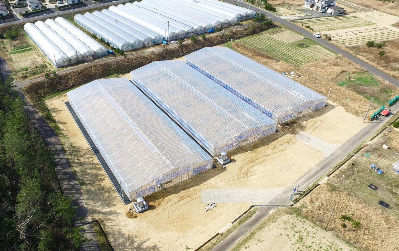 JAしまね出雲地区本部ぶどうハウス建設工事（１０棟）